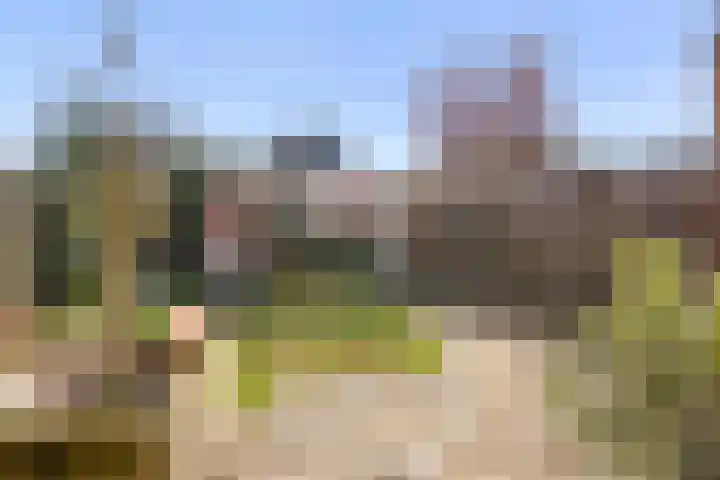 Heilige Eik 33 Heesch thumbnail 38