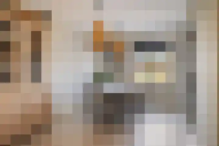 Heilige Eik 33 Heesch thumbnail 4