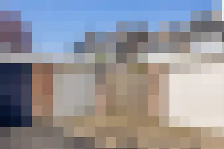 Heilige Eik 33 Heesch thumbnail 41