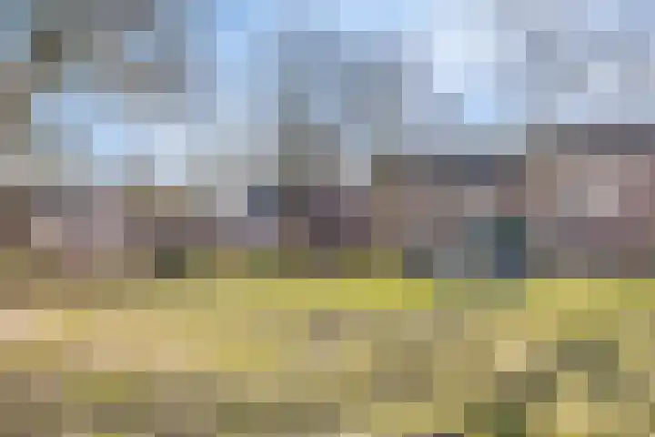 Heilige Eik 33 Heesch thumbnail 43