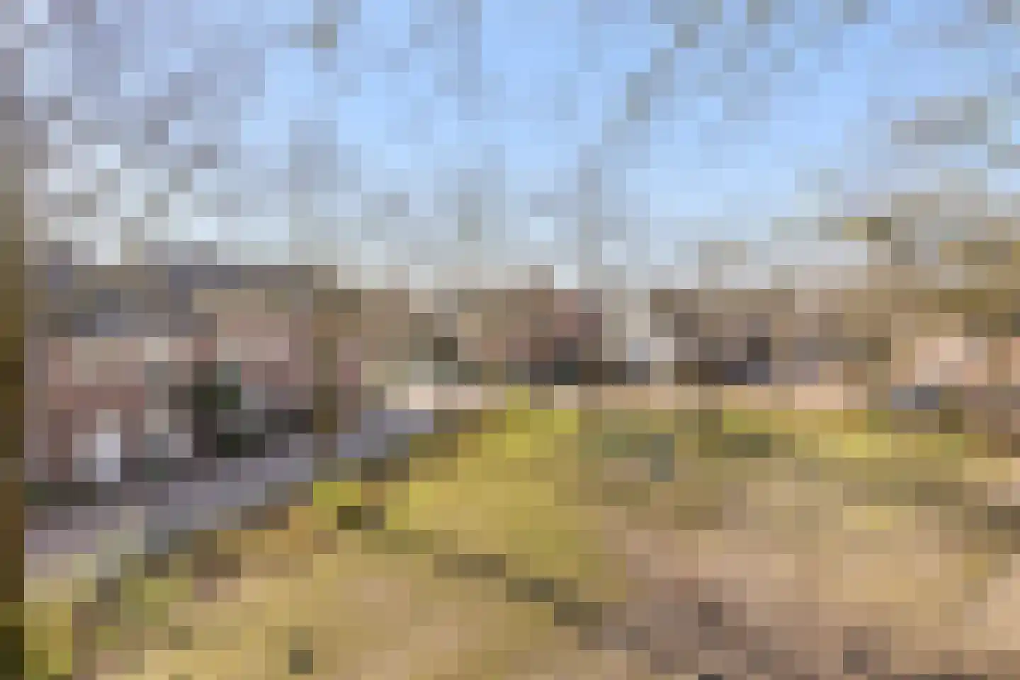 Heilige Eik 33 Heesch thumbnail 48