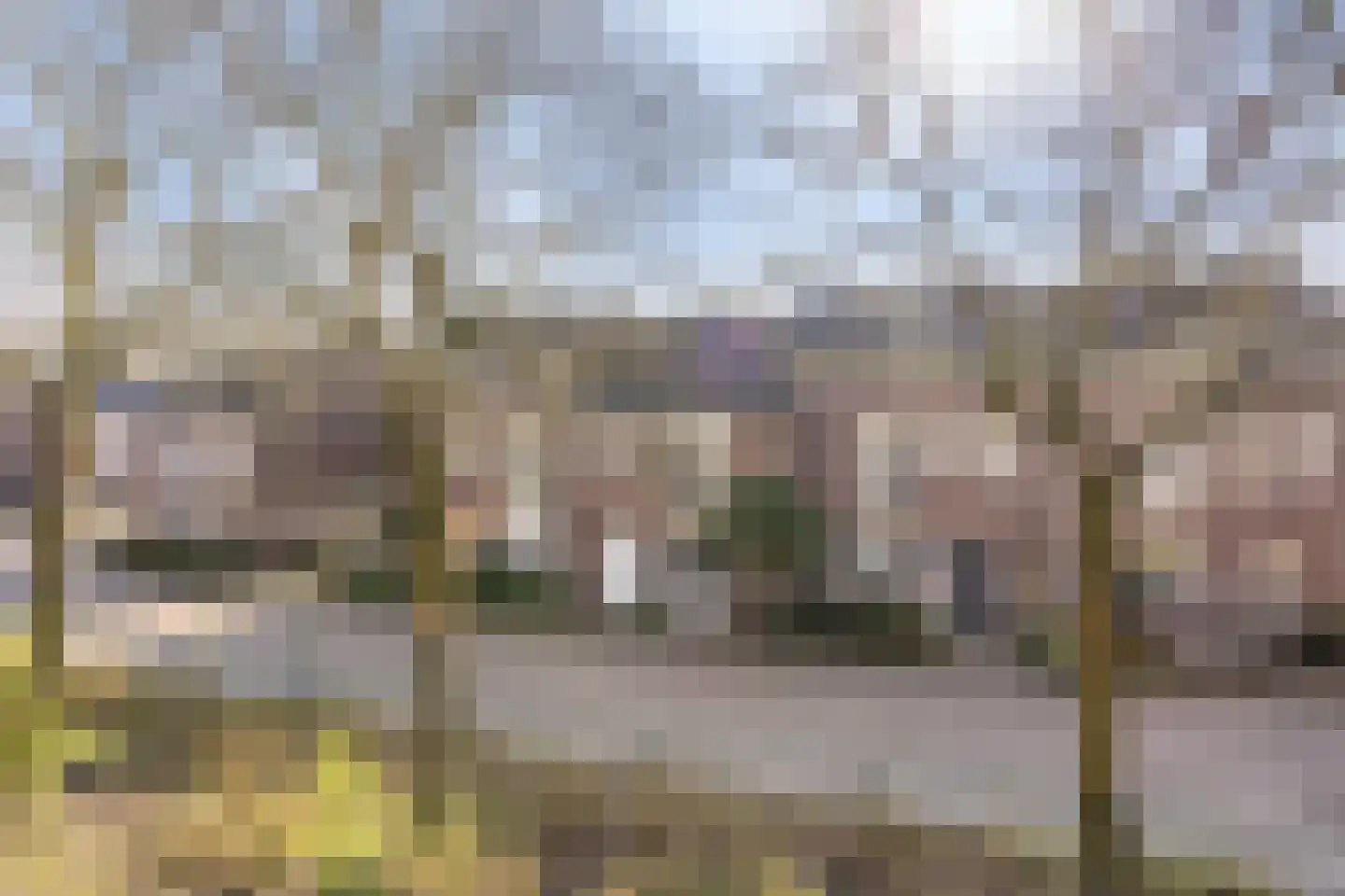 Heilige Eik 33 Heesch thumbnail 49