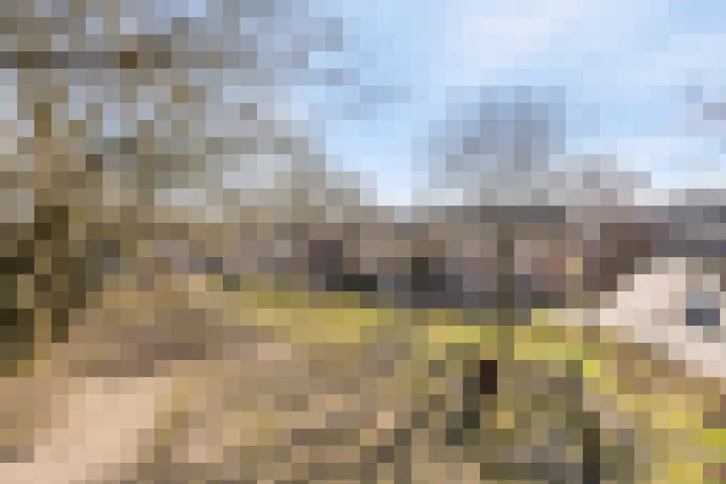 Heilige Eik 33 Heesch thumbnail 50