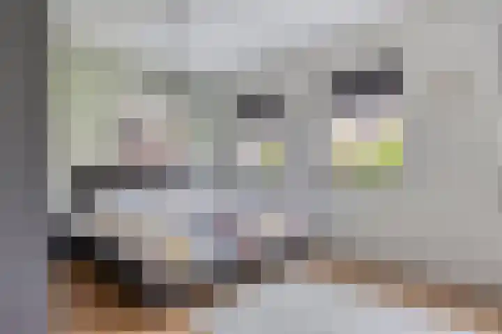 Heilige Elisabethstraat 15 Breda thumbnail 14