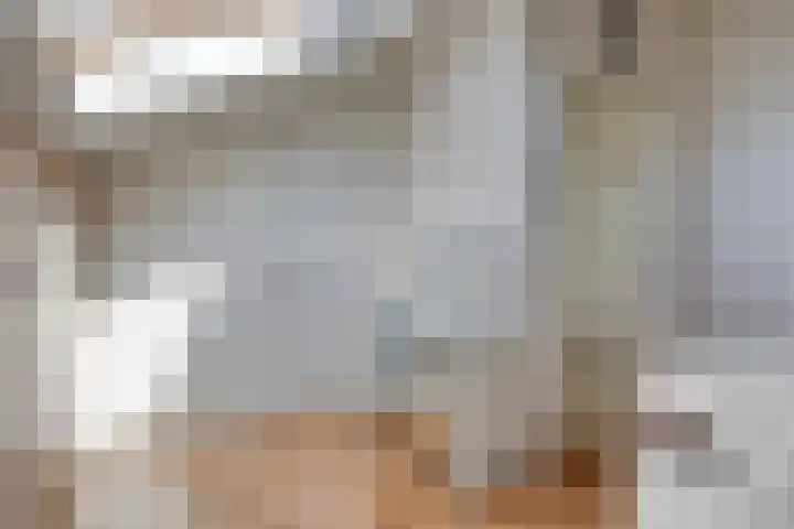 Heilige Elisabethstraat 15 Breda thumbnail 25