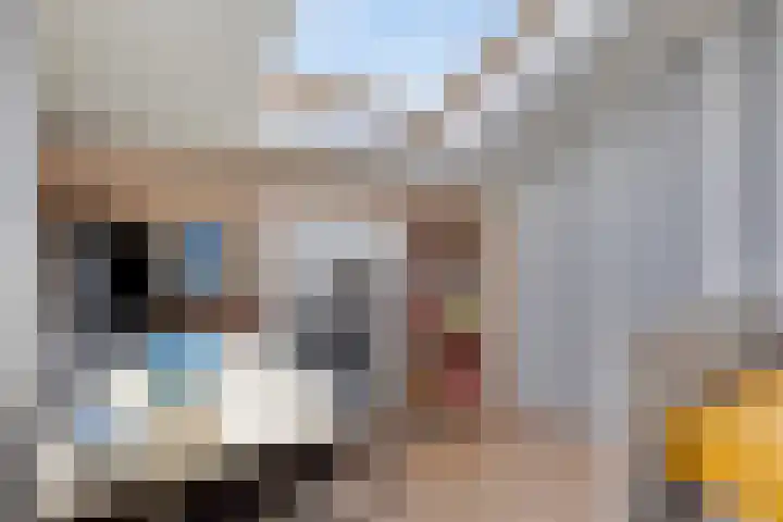 Heilige Elisabethstraat 15 Breda thumbnail 27