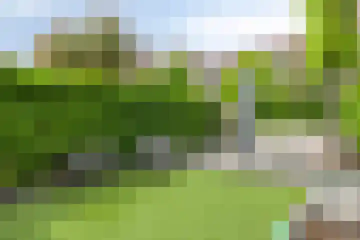 Heilige Elisabethstraat 15 Breda thumbnail 36