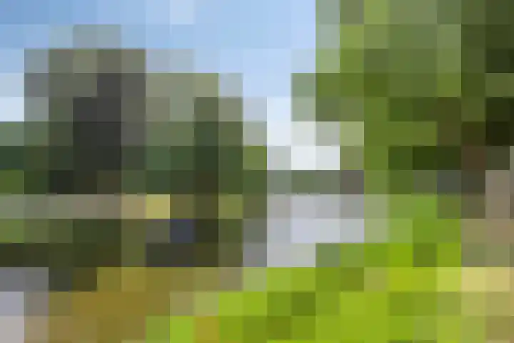 Heilige Elisabethstraat 15 Breda thumbnail 38