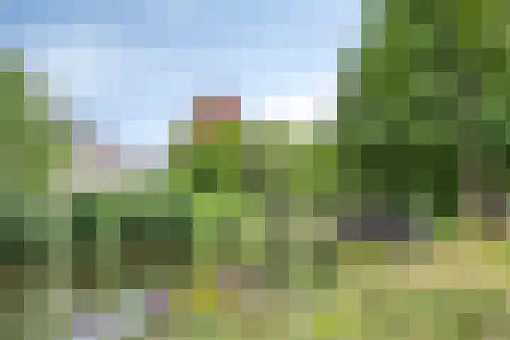 Heilige Elisabethstraat 15 Breda thumbnail 39