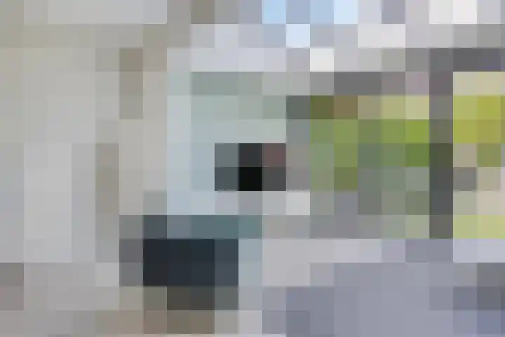 Heilige Elisabethstraat 15 Breda thumbnail 7