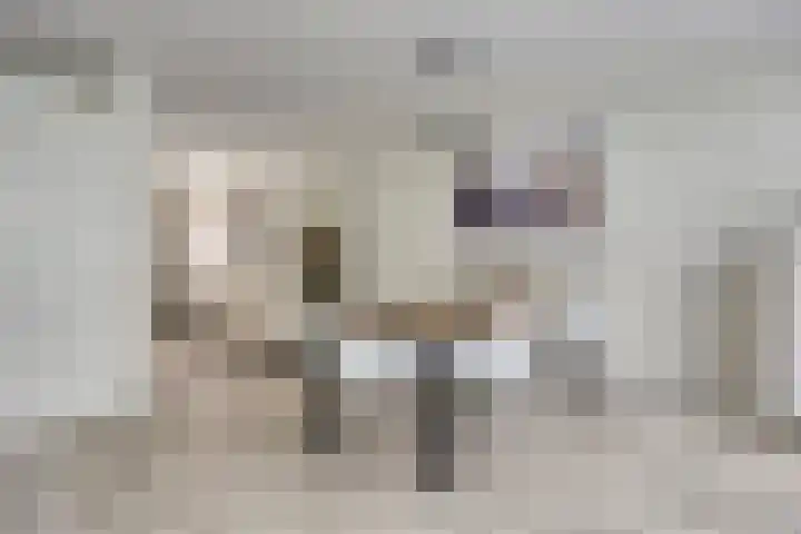Heilige Elisabethstraat 15 Breda thumbnail 9