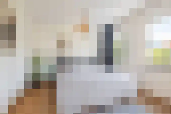 Heilige Elisabethstraat 5 Breda thumbnail 20