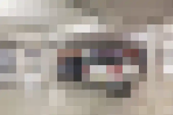 Heilige Elisabethstraat 5 Breda thumbnail 37