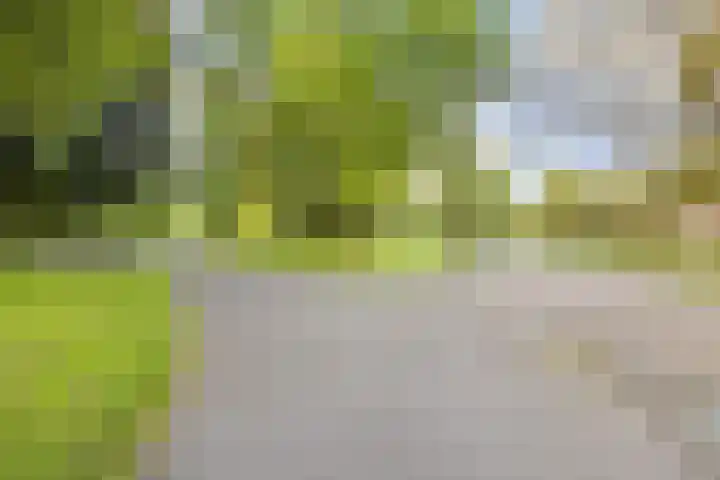 Heilige Elisabethstraat 5 Breda thumbnail 41