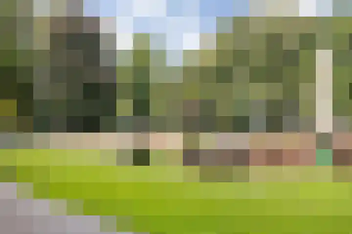 Heilige Elisabethstraat 5 Breda thumbnail 42