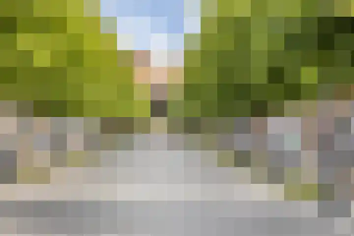 Heilige Elisabethstraat 5 Breda thumbnail 45
