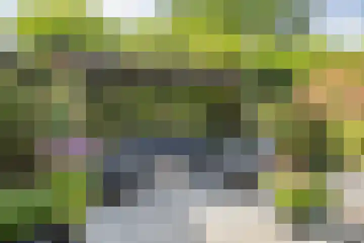 Heilige Elisabethstraat 5 Breda thumbnail 5