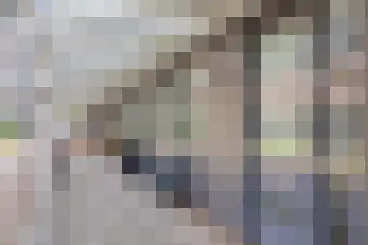 Heilige Elisabethstraat 5 Breda thumbnail 7