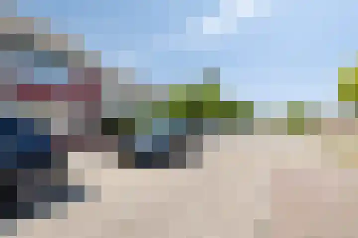 Heilige Geestland 22 Bergen op Zoom thumbnail 38