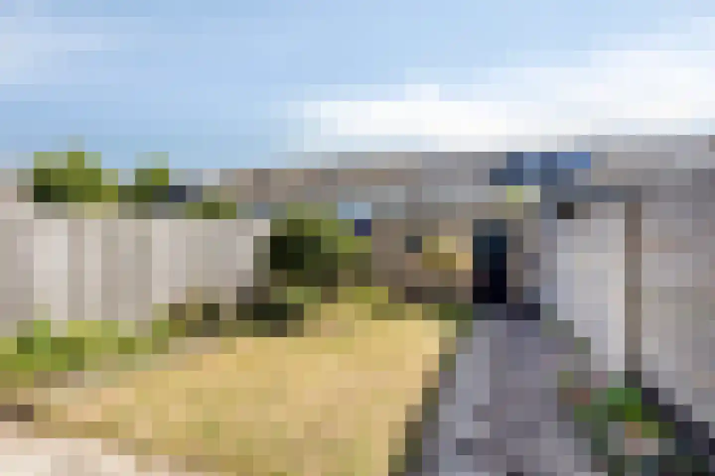 Heilige Geestland 32 Bergen op Zoom thumbnail 26