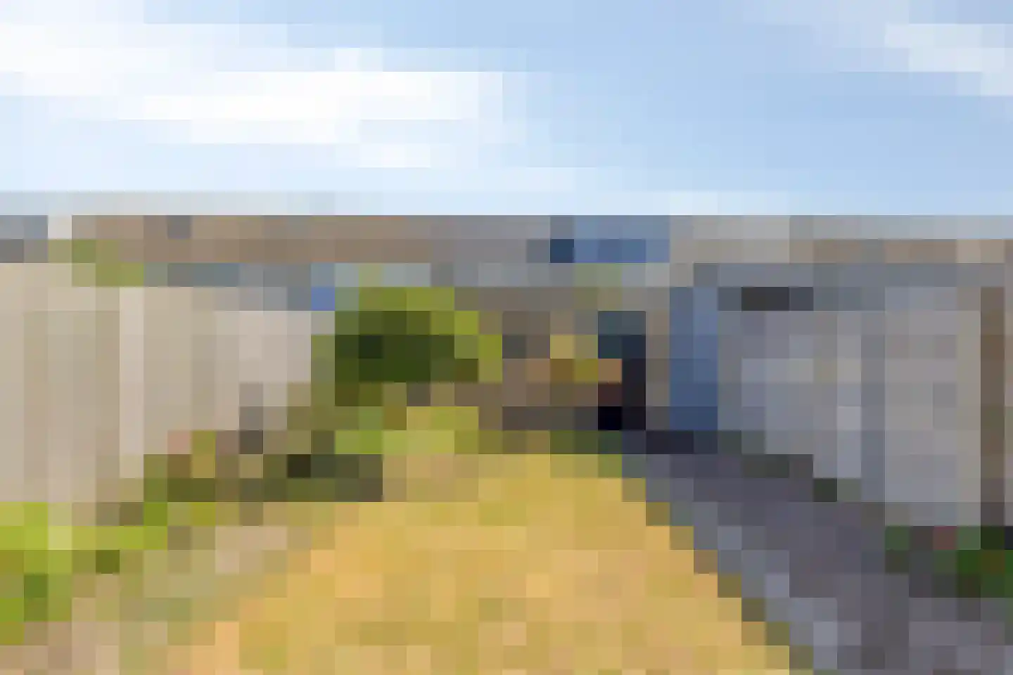 Heilige Geestland 32 Bergen op Zoom thumbnail 27