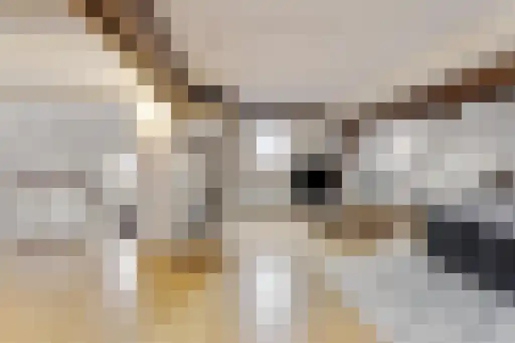 Heilige Geeststraat 14 Roermond thumbnail 39