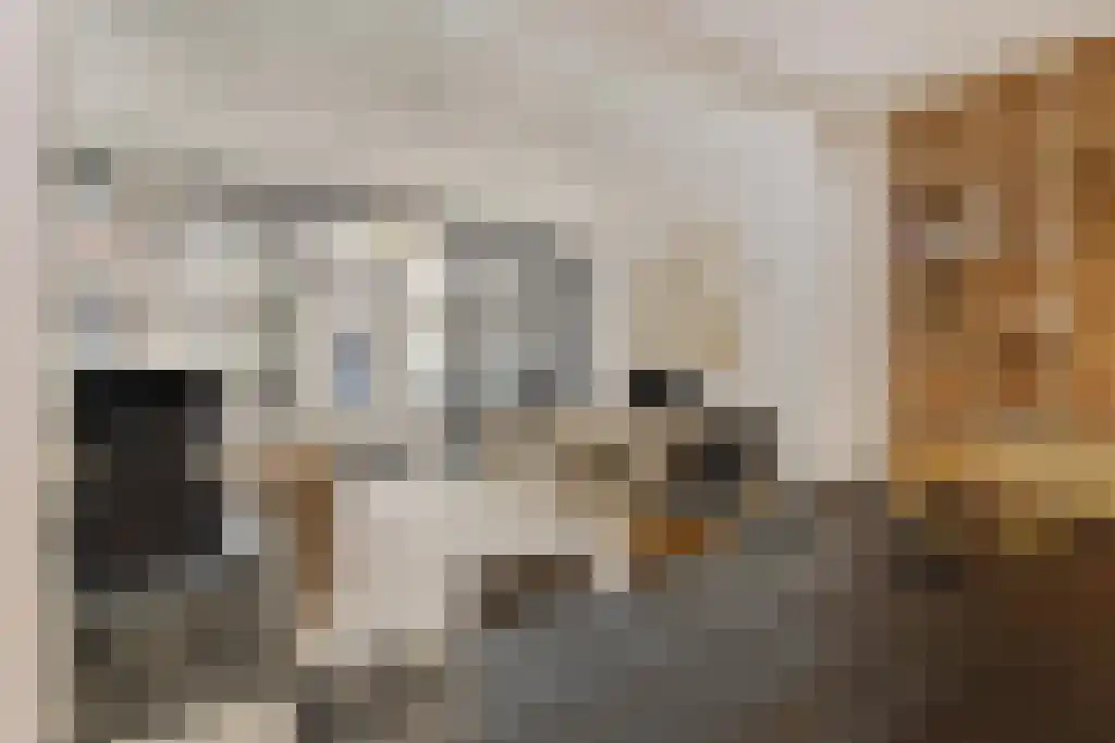Heilige Geeststraat 14 Roermond thumbnail 8