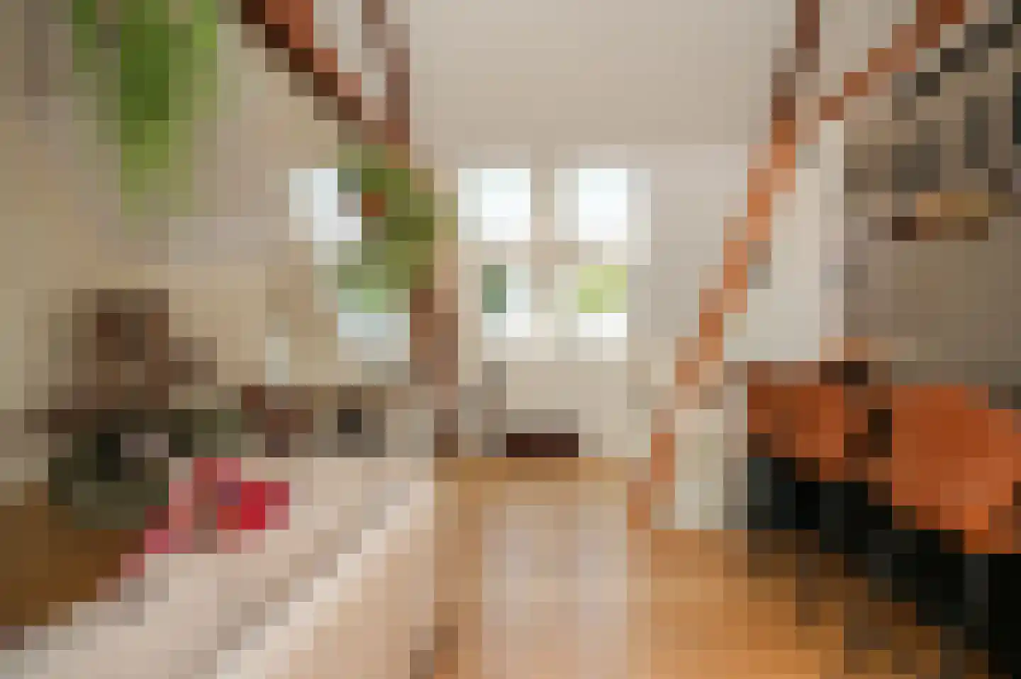 Heilige Geeststraat 19 Zaltbommel thumbnail 23