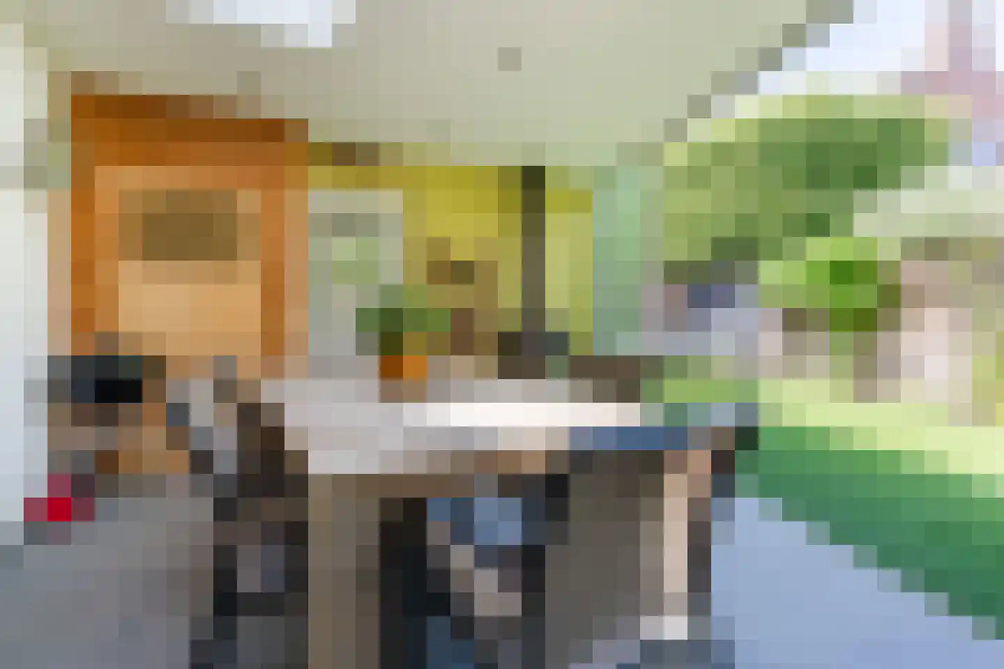 Heilige Geeststraat 2 a Eersel thumbnail 23
