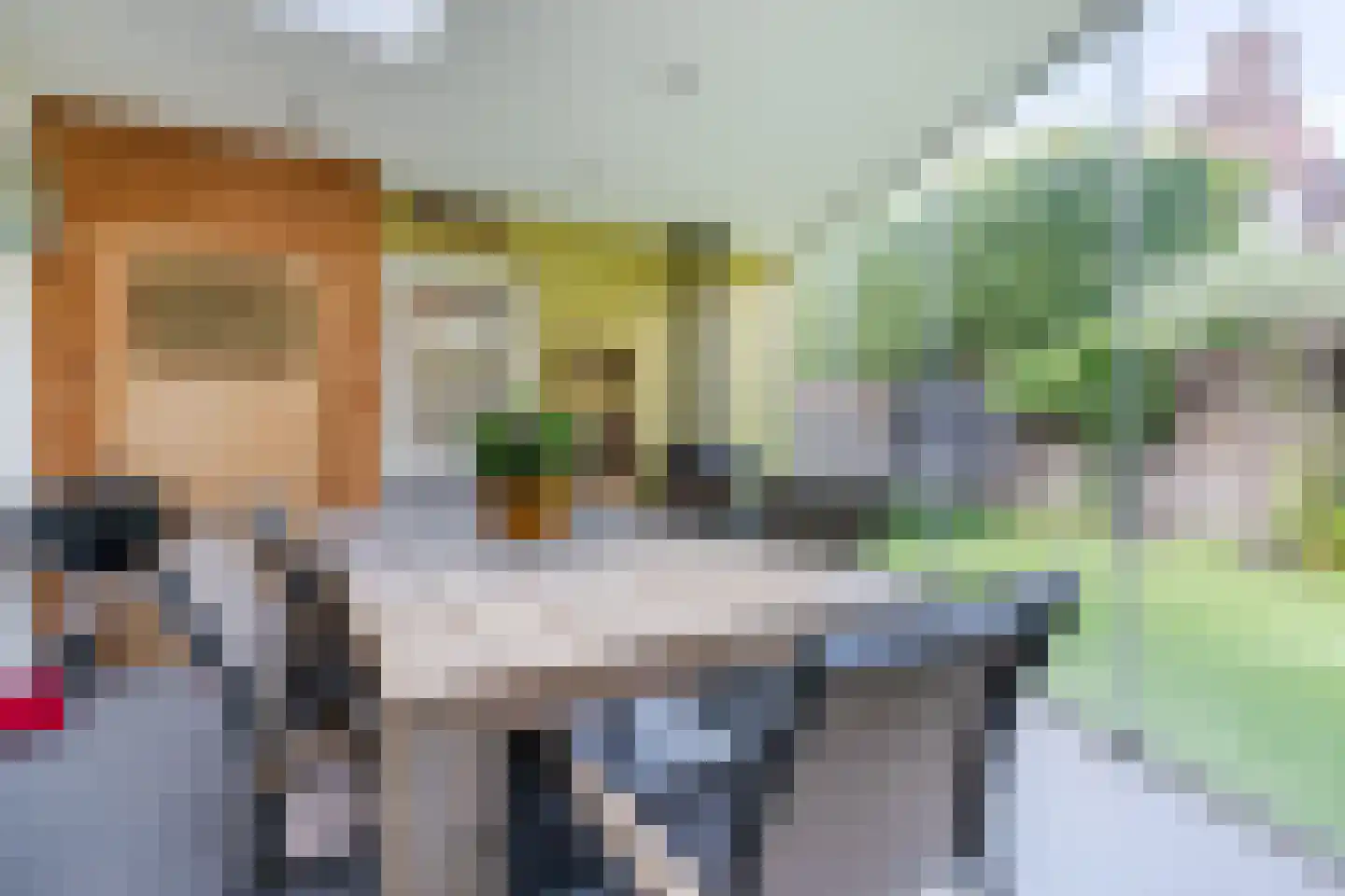 Heilige Geeststraat 2 a Eersel thumbnail 24