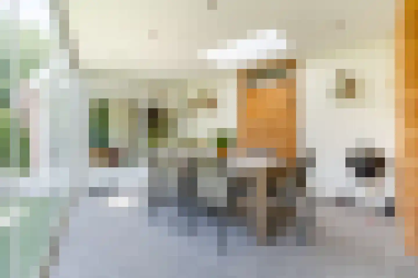 Heilige Geeststraat 2 a Eersel thumbnail 26