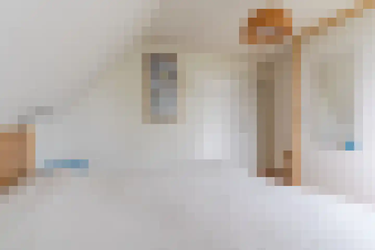 Heilige Geeststraat 2 a Eersel thumbnail 35