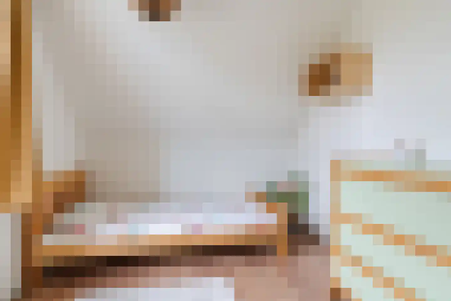 Heilige Geeststraat 2 a Eersel thumbnail 41