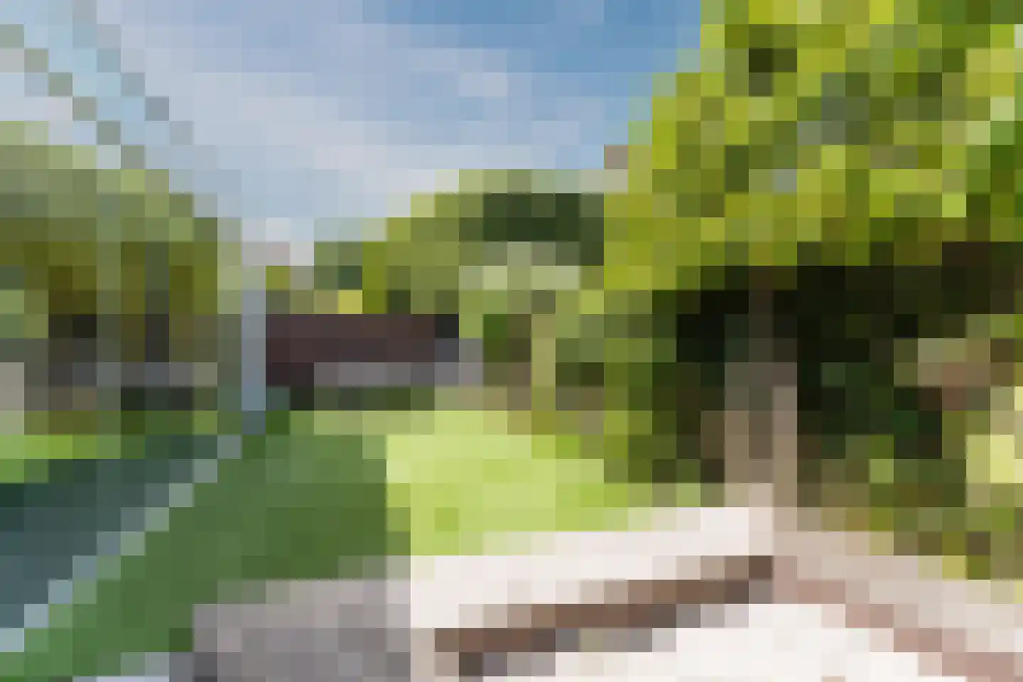 Heilige Geeststraat 2 a Eersel thumbnail 54