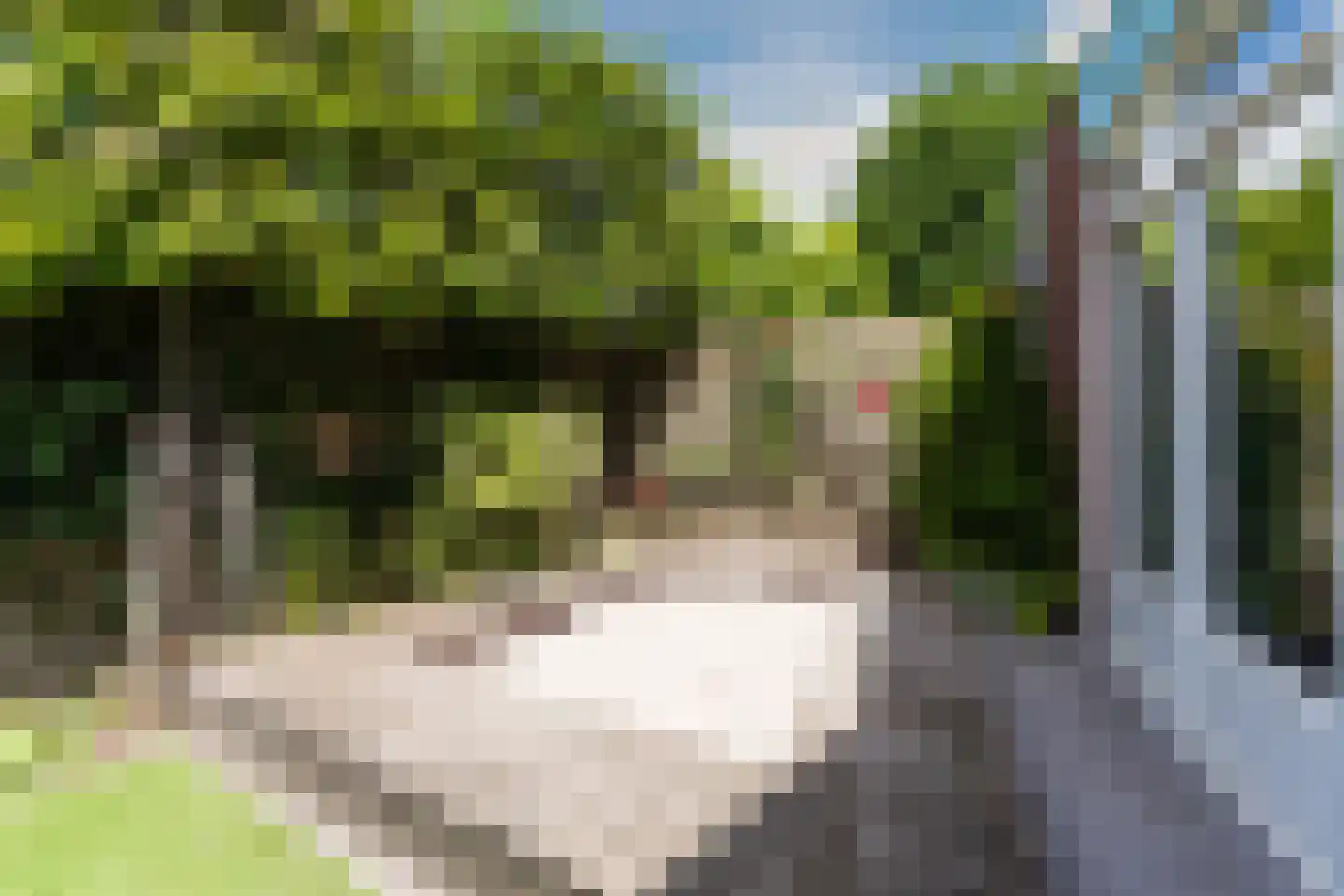 Heilige Geeststraat 2 a Eersel thumbnail 55