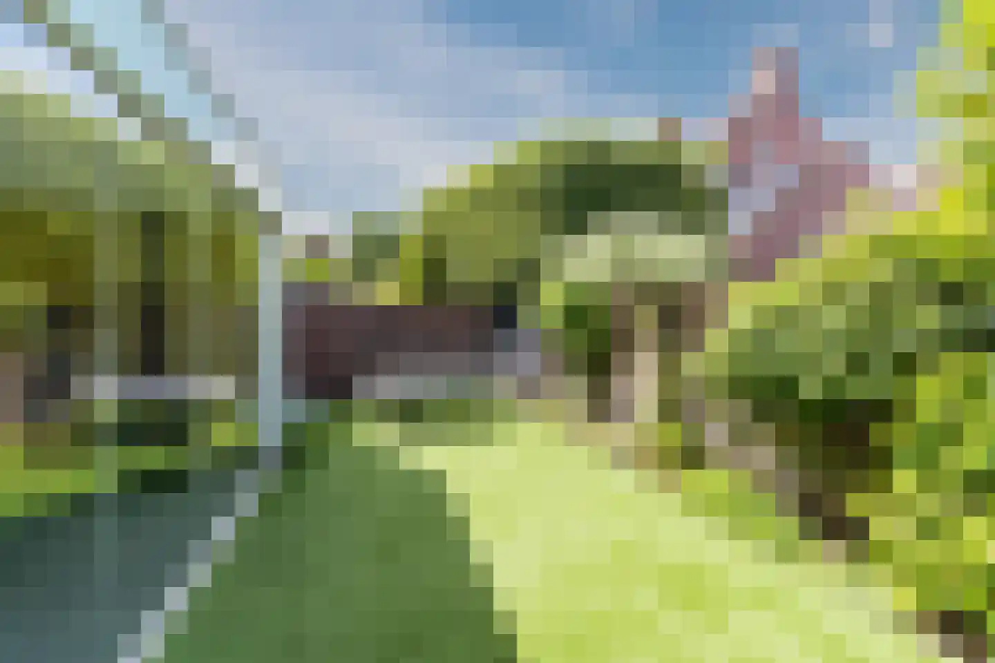 Heilige Geeststraat 2 a Eersel thumbnail 56