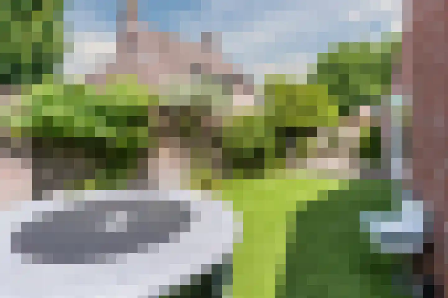 Heilige Geeststraat 2 a Eersel thumbnail 57