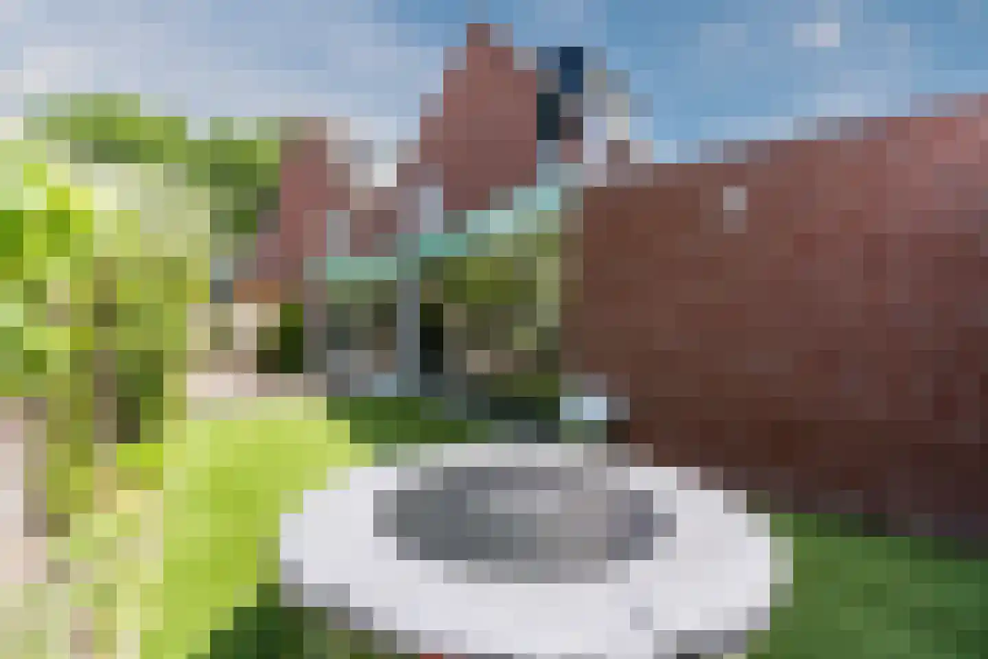 Heilige Geeststraat 2 a Eersel thumbnail 58