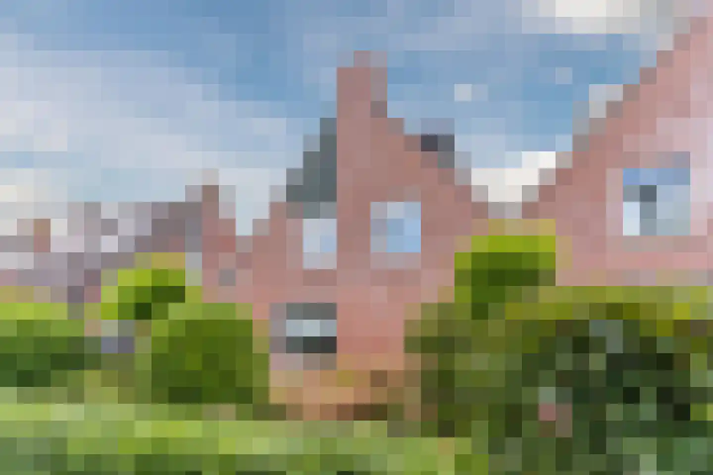 Heilige Geeststraat 2 a Eersel thumbnail 63