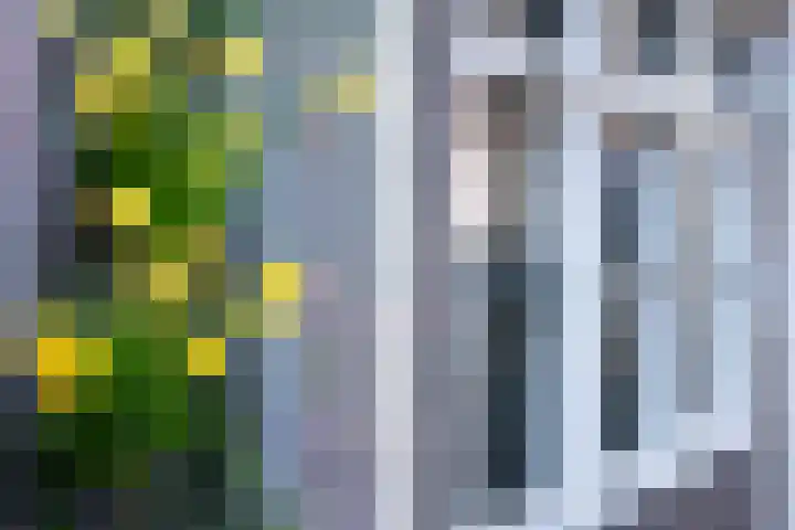 Heilige Geeststraat 20 A Eindhoven thumbnail 4