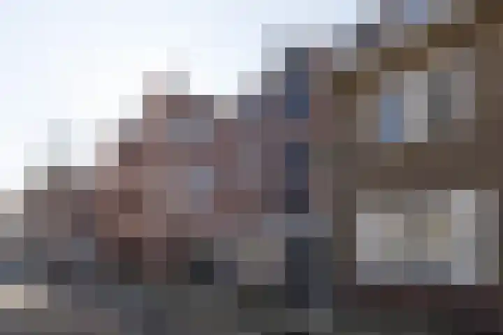 Heilige Geeststraat 20 A Eindhoven thumbnail 51
