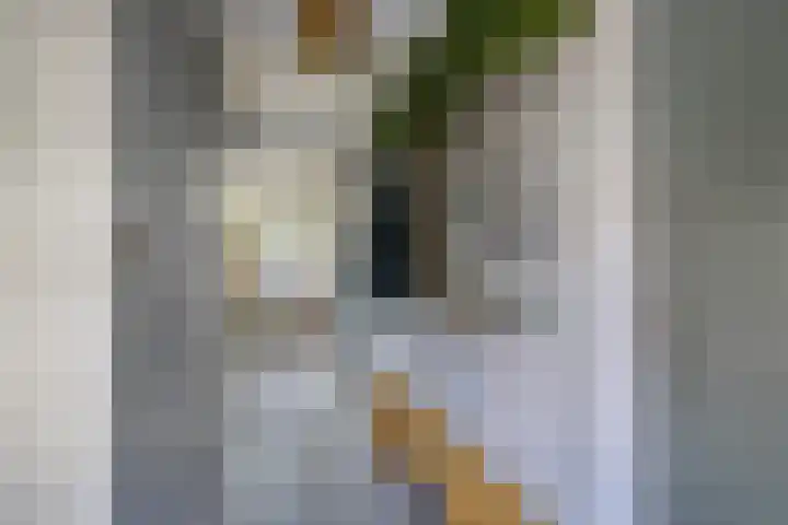Heilige Geeststraat 20 A Eindhoven thumbnail 6