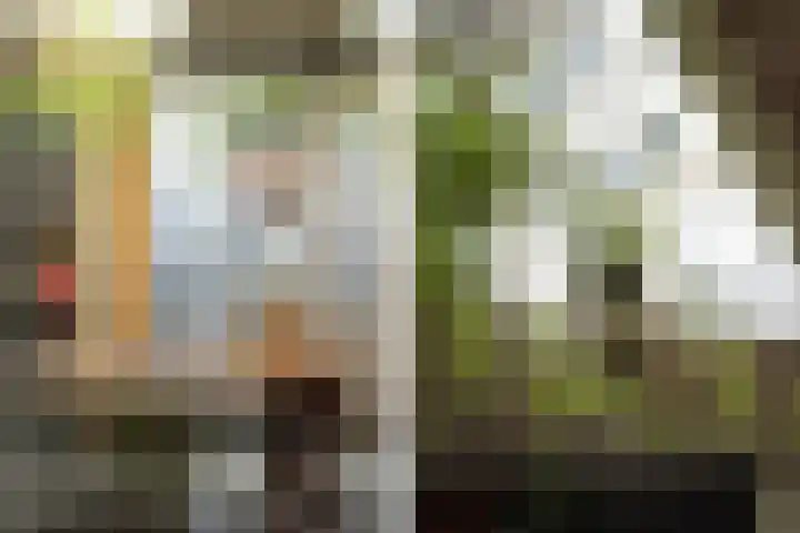 Heilige Geeststraat 20 A Eindhoven thumbnail 9