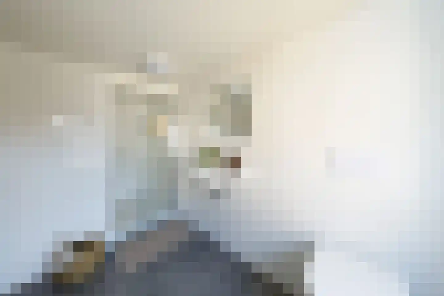 Heilige Geeststraat 23 Roermond thumbnail 12