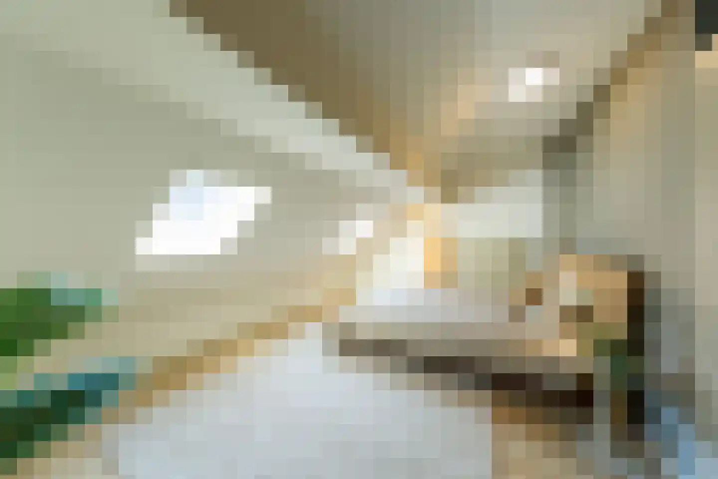 Heilige Geeststraat 23 Roermond thumbnail 15