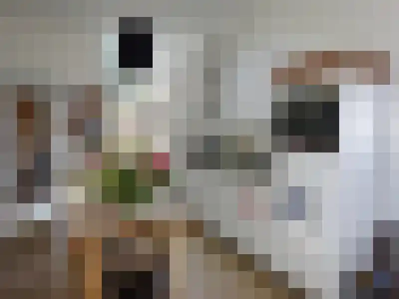 Heilige Geeststraat 40 Eindhoven thumbnail 4
