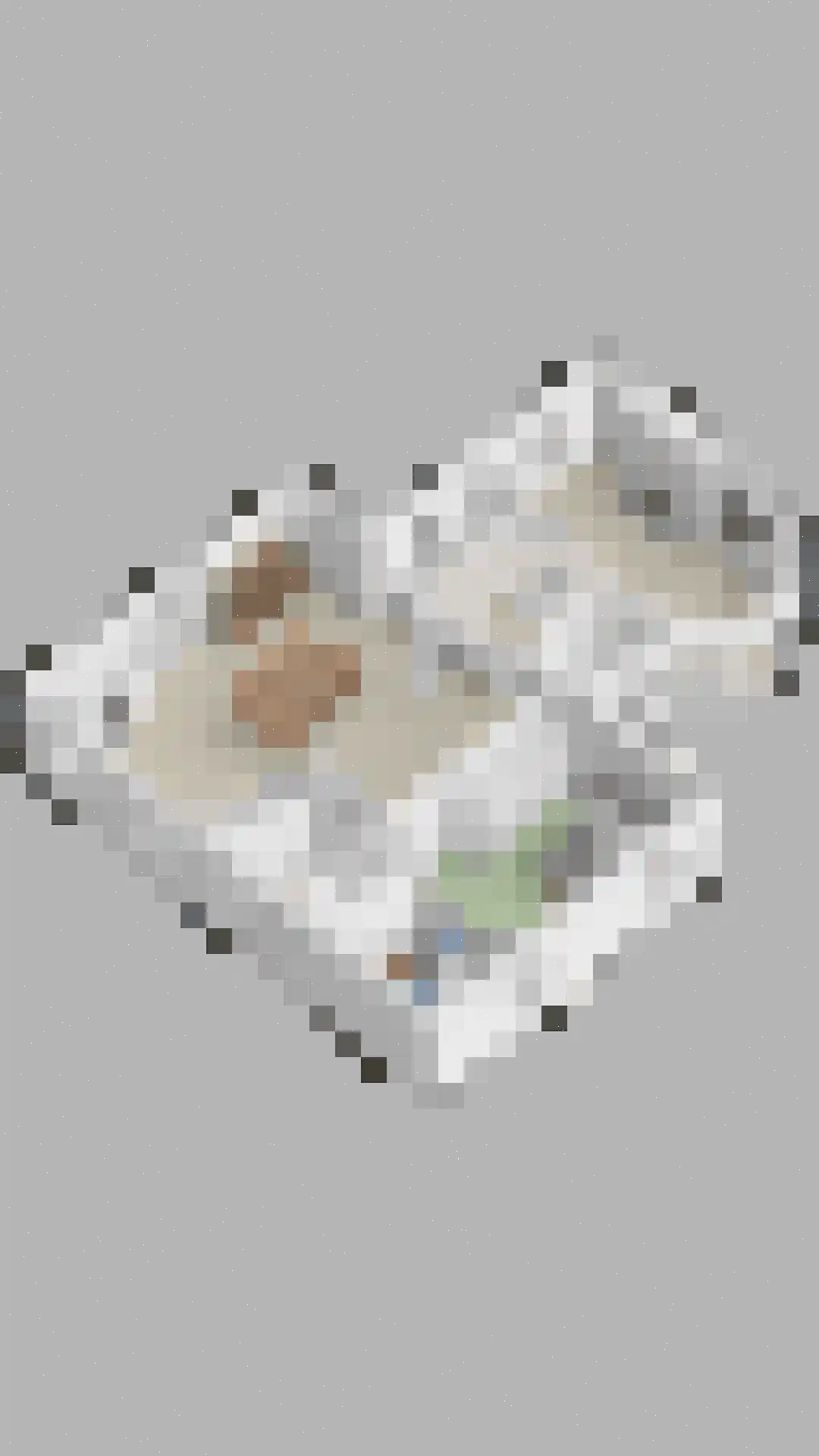 Heilige Huisjes 15 Zevenaar thumbnail 103
