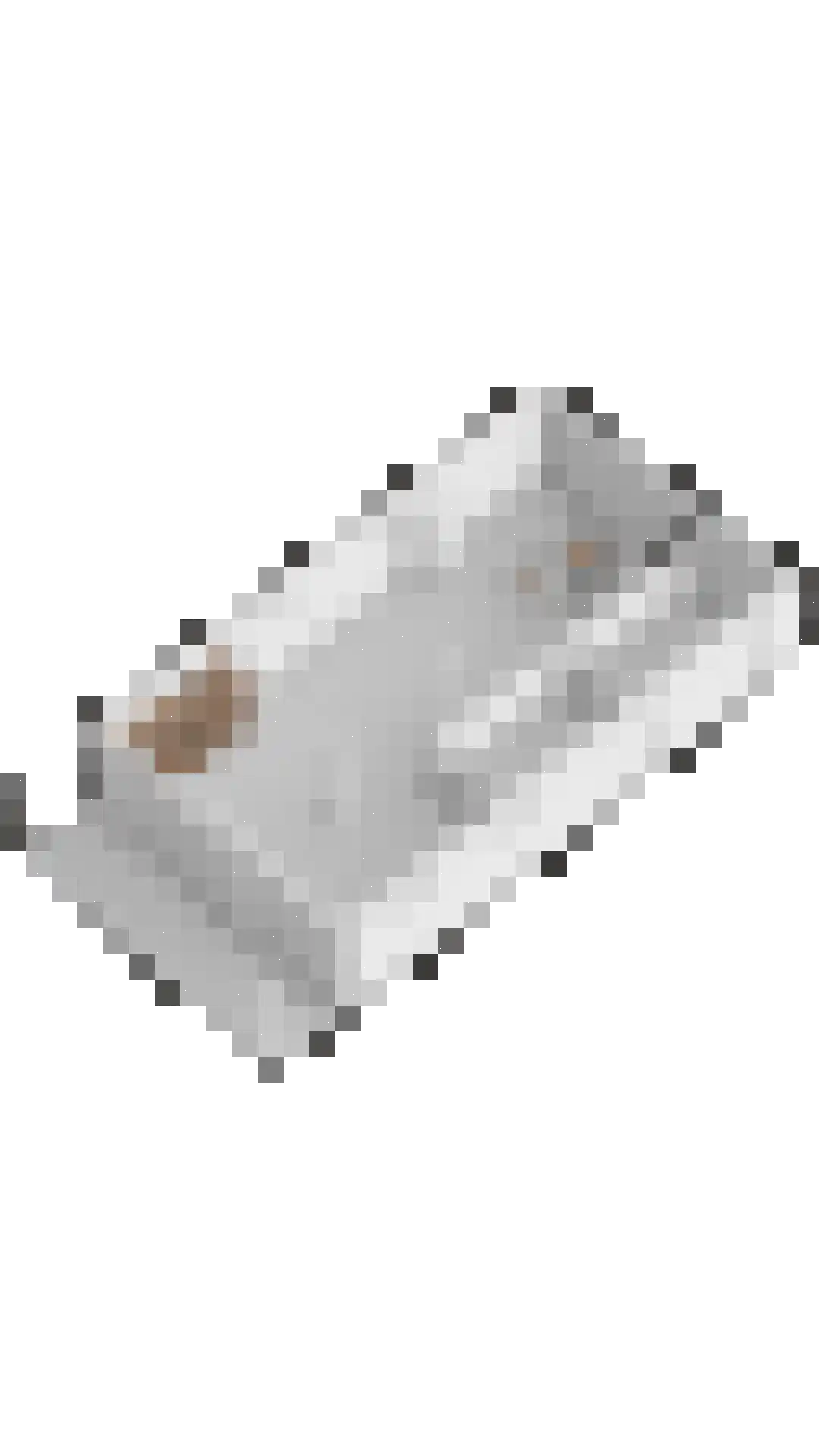 Heilige Huisjes 15 Zevenaar thumbnail 109