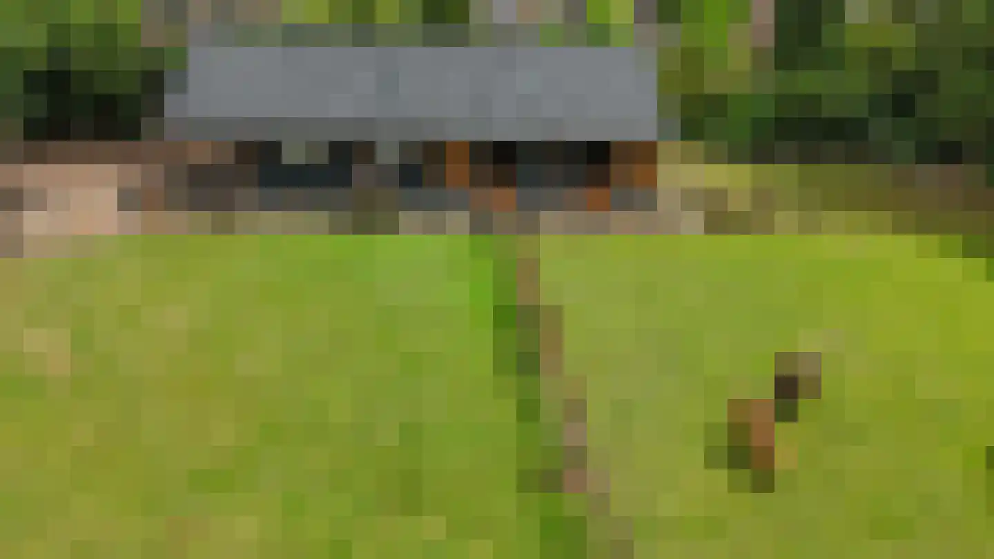 Heilige Huisjes 15 Zevenaar thumbnail 17
