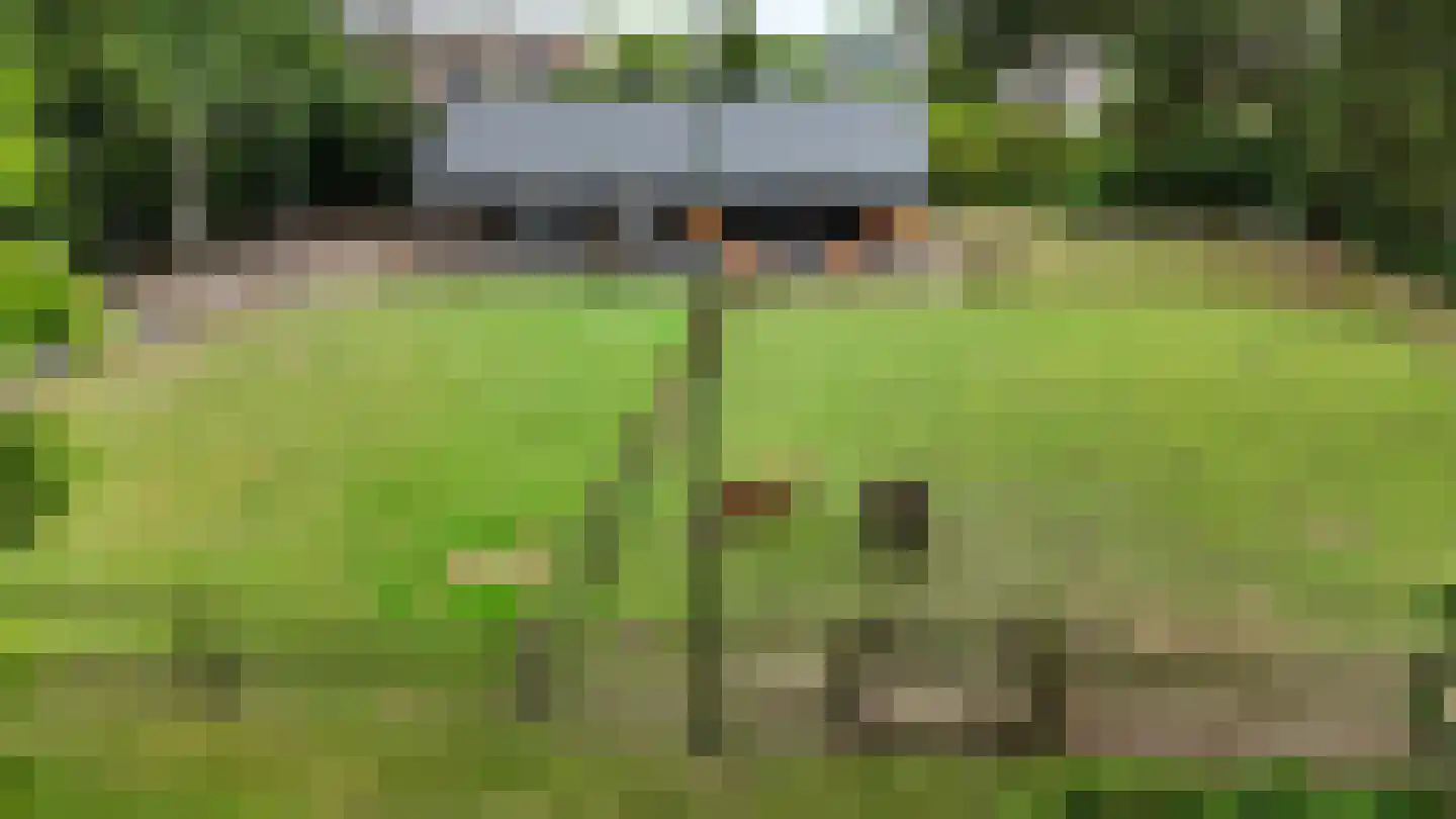Heilige Huisjes 15 Zevenaar thumbnail 19